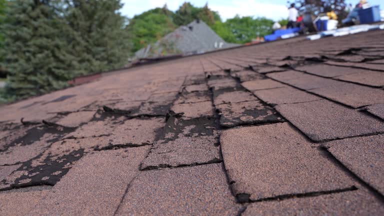 Best Roofing for New Construction  in Fulton, IL