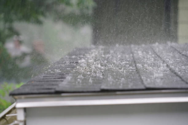 Best Roof Moss and Algae Removal  in Fulton, IL