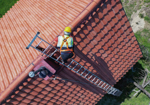 Best Roof Insulation Installation  in Fulton, IL
